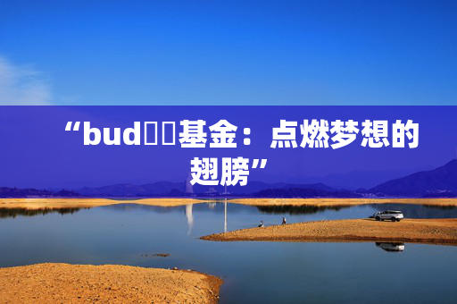 “bud專項基金：点燃梦想的翅膀” 香港企业补贴