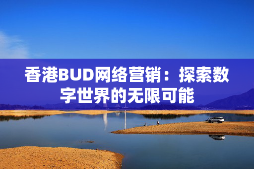 香港BUD网络营销：探索数字世界的无限可能 香港企业补贴